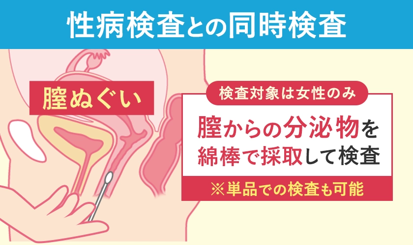 一般細菌検査の方法の解説図(女性)