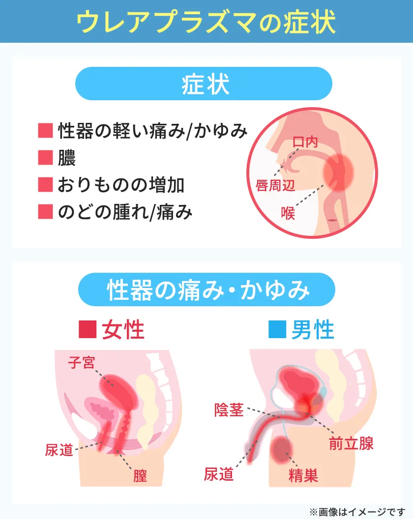 ウレアプラズマの症状と発生部位