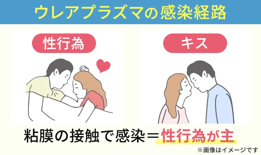 ウレアプラズマはセックスやキスで感染します