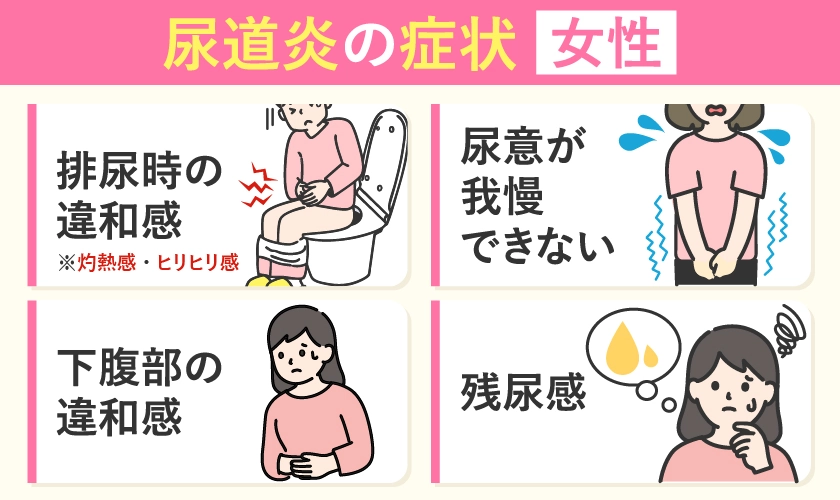 女性の尿道炎の症状